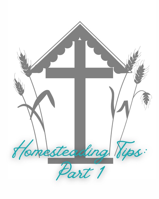 Homesteading Tips: Part&nbsp;1