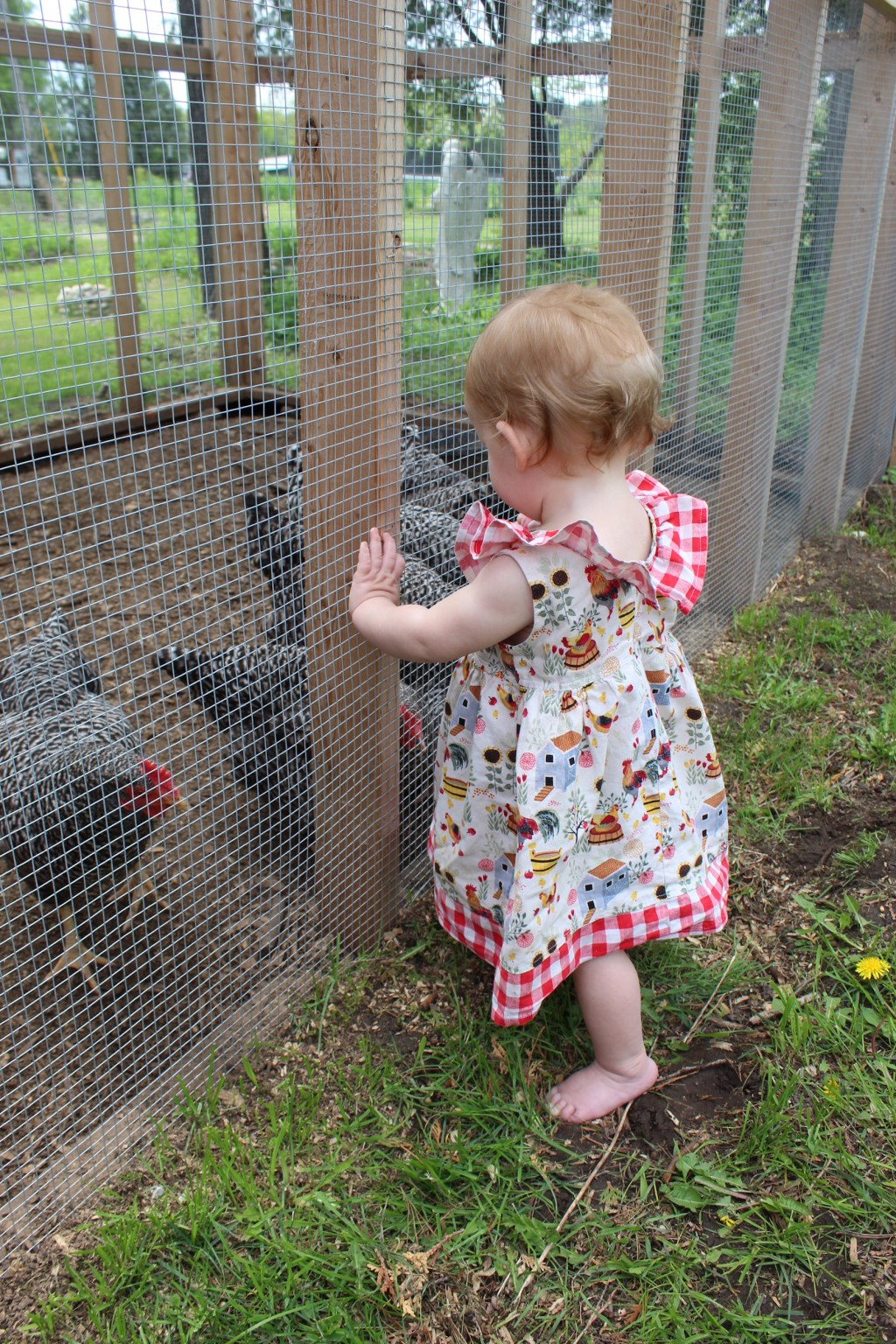 The Animals and Ss. Anthony the Abbot and Francis of&nbsp;Assisi